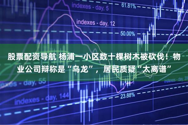 股票配资导航 杨浦一小区数十棵树木被砍伐！物业公司辩称是“乌龙”，居民质疑“太离谱”